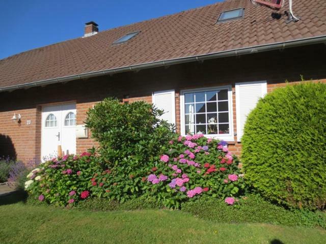 Luft Und Meer 4**** Ferienwohnung Hage Eksteriør bilde